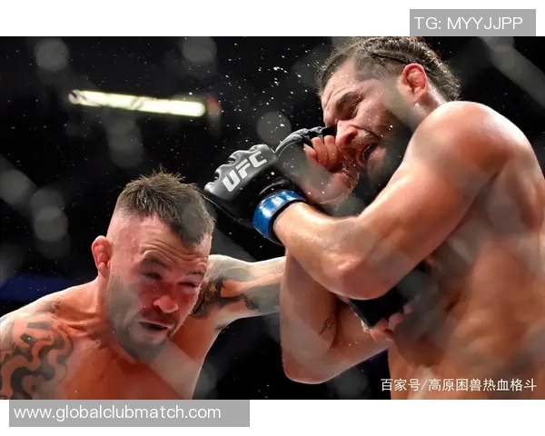 UFC尼尔森与温盾的精彩对决揭示了格斗技巧与战术的巅峰对抗